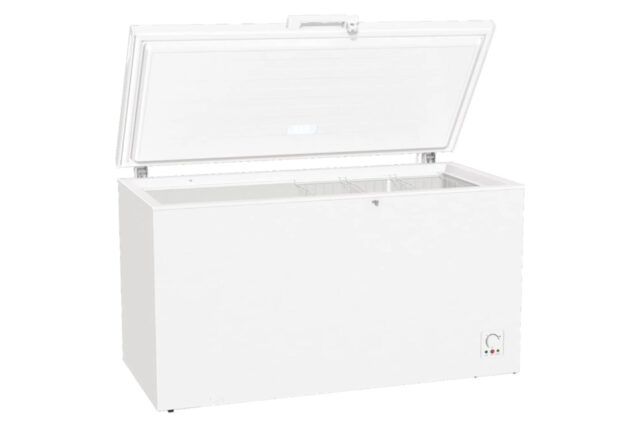 Gorenje Zamrzivači sandučari FH 45 ECW