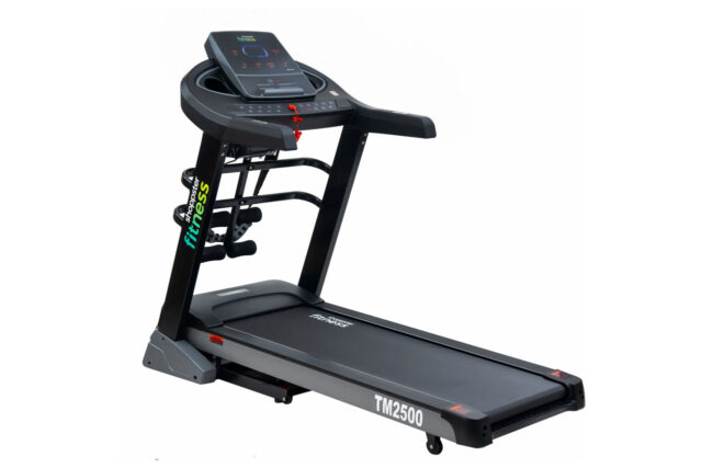 Shopster fitness Traka za trčanje TM2500 20 km/4 HP sa masažerom